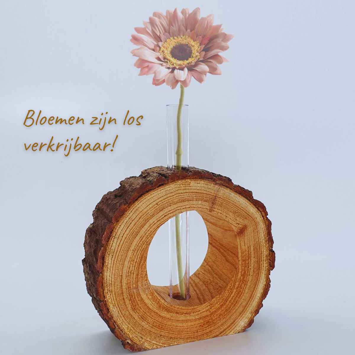Boomstammetje met reageerbuisje (zonder bloem)
