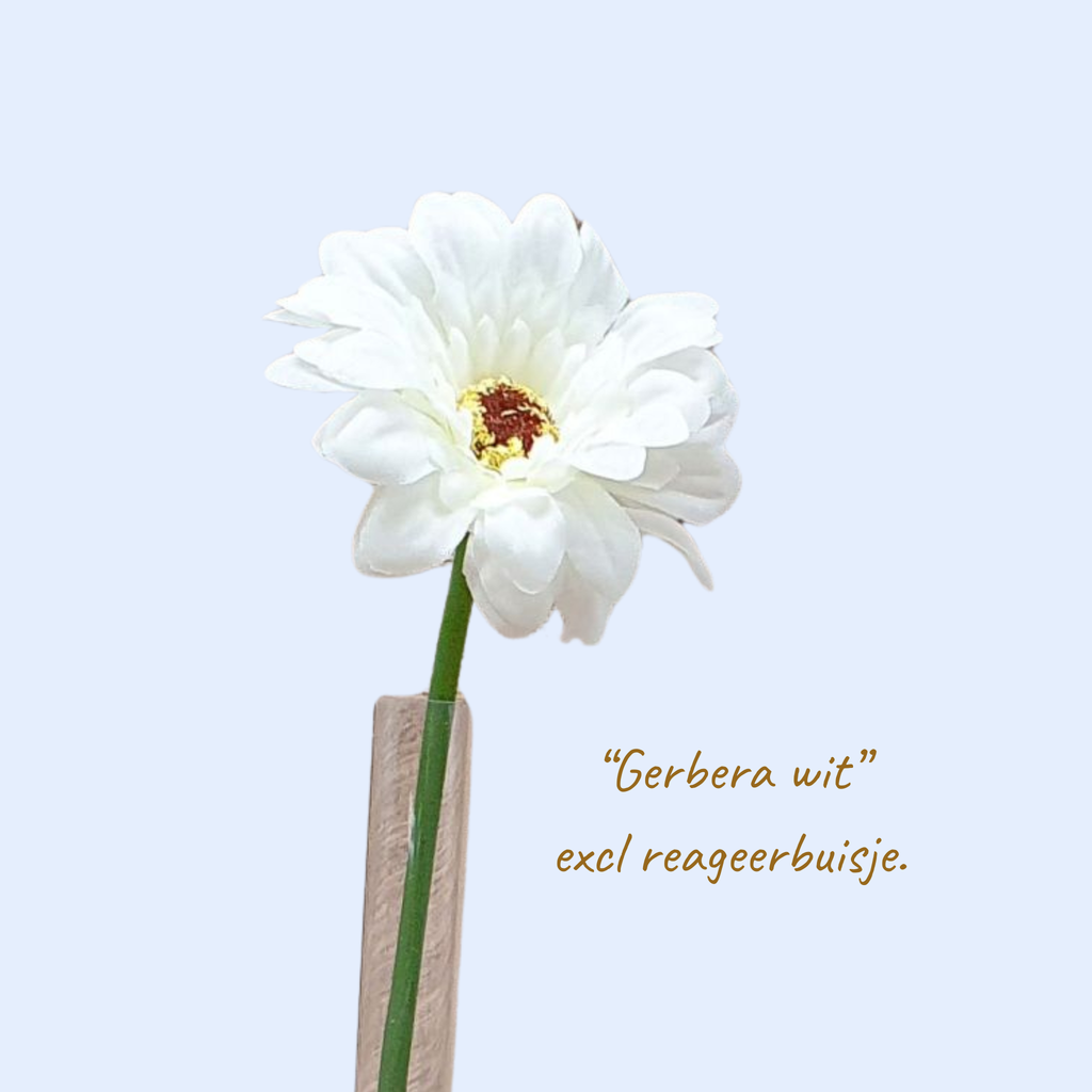 Houten Hart met reageerbuisje