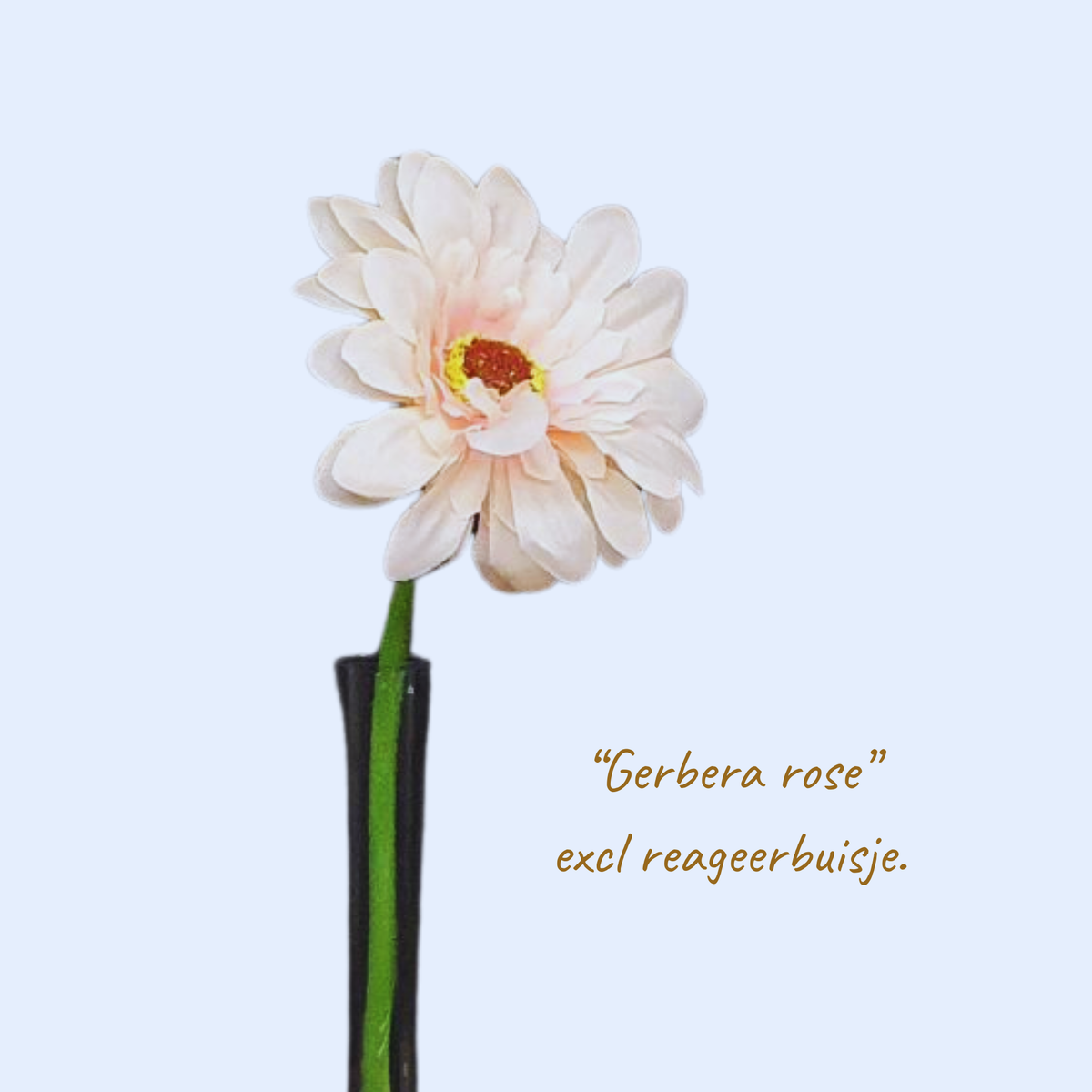 Gerbera rose 1 stuk