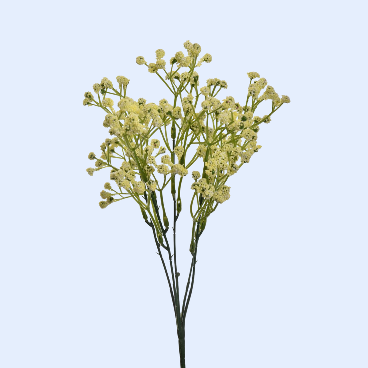Boomstammetje met reageerbuisje (zonder bloem)